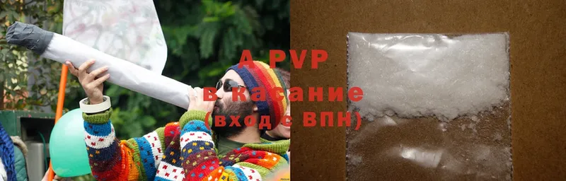 A-PVP СК КРИС  Бородино 