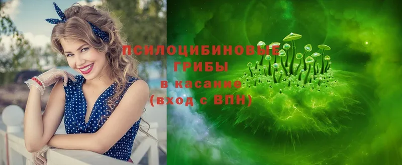 hydra tor  Бородино  Галлюциногенные грибы GOLDEN TEACHER  как найти закладки 